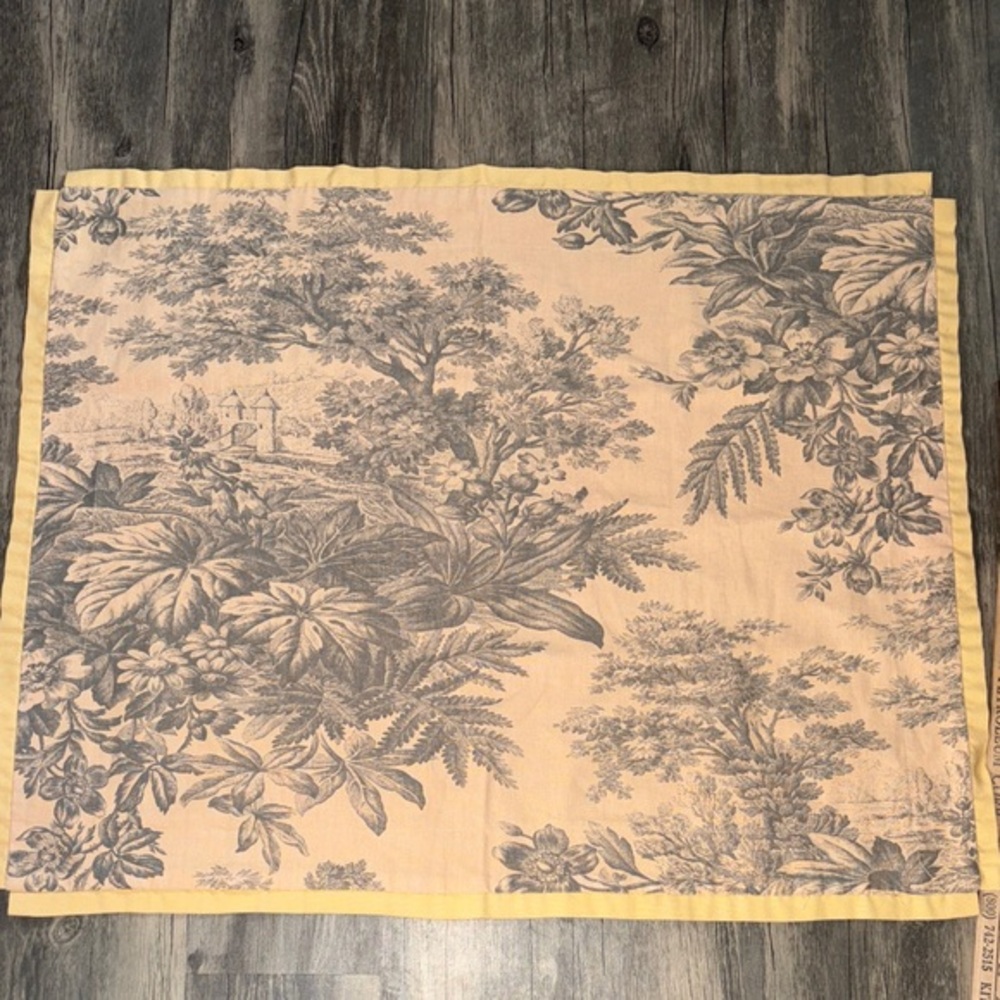 Pottery Barn Floral set of Two Euro Shams -
 Matine Toile pattern- discontinued